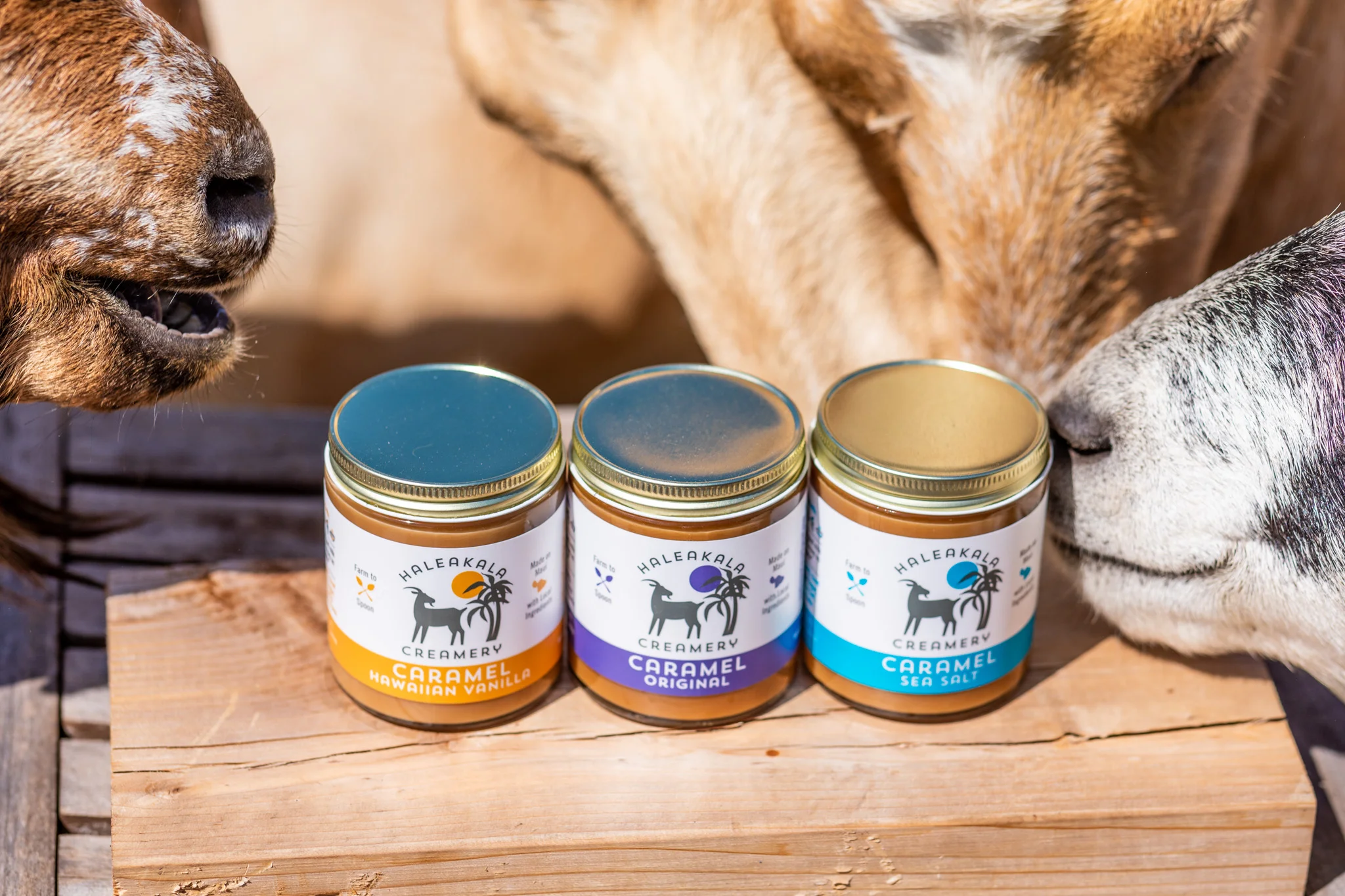 Original - Goat's Milk Caramel — Haleakala Creamery Maui